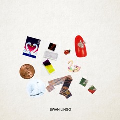 Swan Lingo - Can't See Your Face Anymore