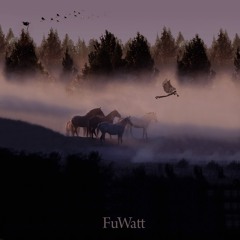 Follow The Wilderness