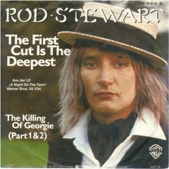 The First Cut Is The Deepest - Rod Stewart - Sepehr Eghbali Cover