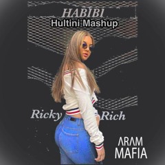 Ricky Rich - Habibi v/ Snap (Hultini Mashup) [PLAYED BY ARAM MAFIA LIVE @ VALLA HOUSE PARTY 2017]