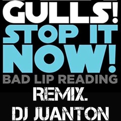 Seagulls (STOP IT NOW) REMIX. Dj Juanton