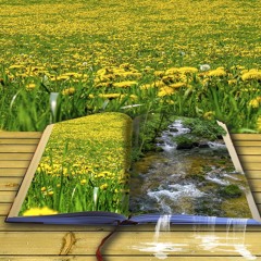 10 Minutes of Nonstop Relaxation Poetry