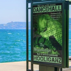 ANDREW SLOLEY Meets DANCEHALL HOOLIGANZ -cant Clown Me+dub Remix.wmv