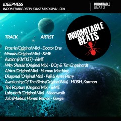 Indomitable Deep House Mixdown 001 - Guest: Ideepness