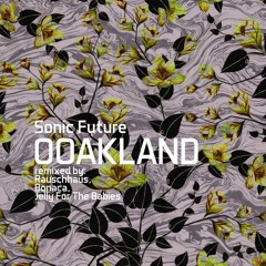 Sonic Future - Ooakland (Jelly For The Babies Remix) [One Of A Kind]