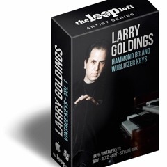 Larry Goldings Wurlitzer Ebm Driving