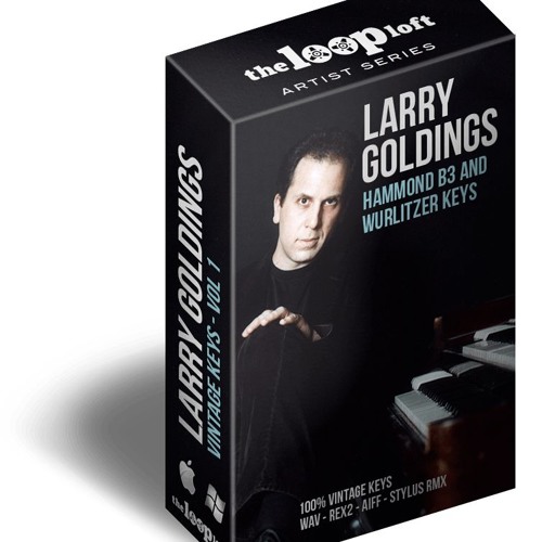 Larry Goldings Wurlitzer Ebm Driving