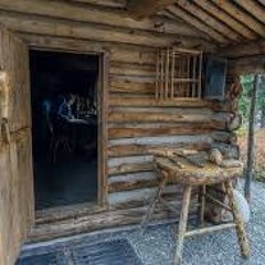 Alone In The Wilderness