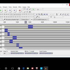 LEFT COAST COACH FLIP FLOPS