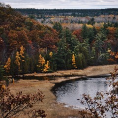 wish you were ft. Yung Bans (MilanMakesBeats)