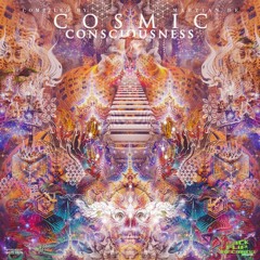 Nioka - Stomping People Out Now on "Cosmic Consciousness" by Backflip Records