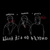 Video herunterladen: little bit of psycho (feat. supachefm & guardin)