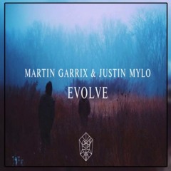 Martin Garrix  Justin Mylo - Evolve (Mammoth Remake)