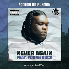 Never Again (feat. Young Buck)