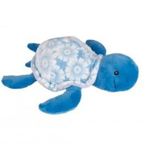 POST-ERROR (17 novembre 17)