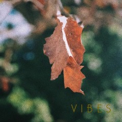 Vibes