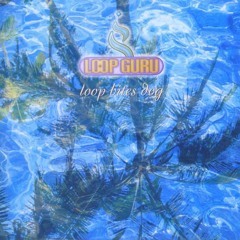 Loop Guru - Single Orphan (Q-Burns Abstract Message Remix)