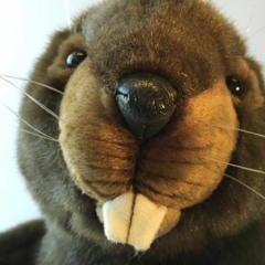 Believer - 3 Doors Down