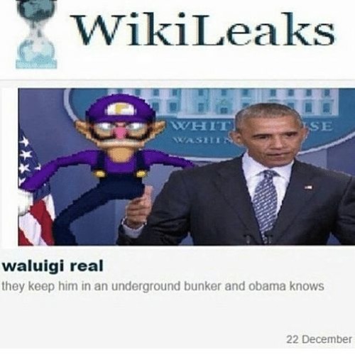 Around the Wooded Kingdom