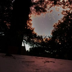 Trapped (feat.Q) [prod.swwwisha]