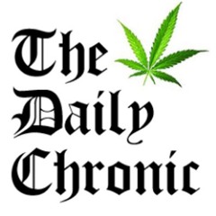 Chronic (prod.by CrazyBird Beats)