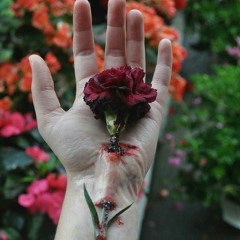 Roses. (Prod. Beatz Era x Jp Soundz)