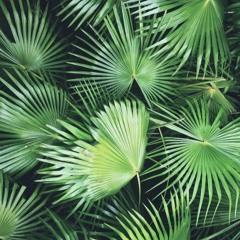 Big Shaq x AWOLNATION - Man's Not Hot x Run (What So Not & Quix Remix) [elsyon Edit]