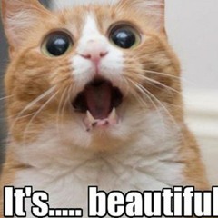 Cats.exist