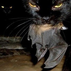 TWITTERBEEFTIMMY SET TRIPPING [PROD. KAISER]