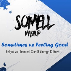 Sometimes Vs Feeling Good (Somell Mashup) [FREE DOWNLOAD]