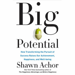 Big Potential by Shawn Achor, read by Shawn Achor