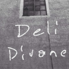 Deli Divane(cover)