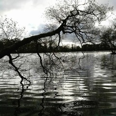 Liquid DnB Then & Now