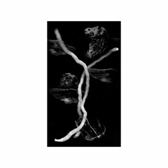 OV 002: Celephaïs - They Seemed To Gallop Back Through Time [out now]