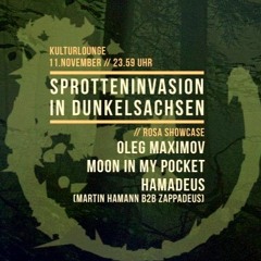Moon In My Pocket @Kulturlounge Leipzig (11/11/2017)