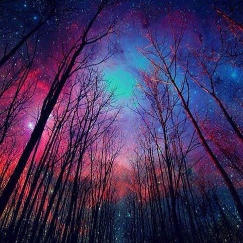 Guvox - Caminhando Na Floresta (Prévia)