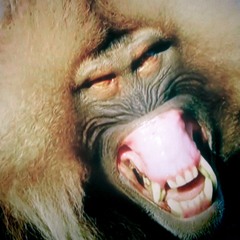 The Strange Case of Dr. Griskin & Mr. Munch