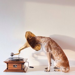 Mr Ron - La Boite À Musiques #5