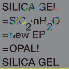 Silica Gel - NEOSOUL (djsoulscape contra mix)