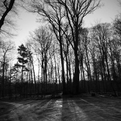 Untitled003[80bpm - 6:8]