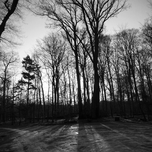 Untitled003[80bpm - 6:8]