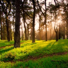 Hellman Hollow (Original Mix)