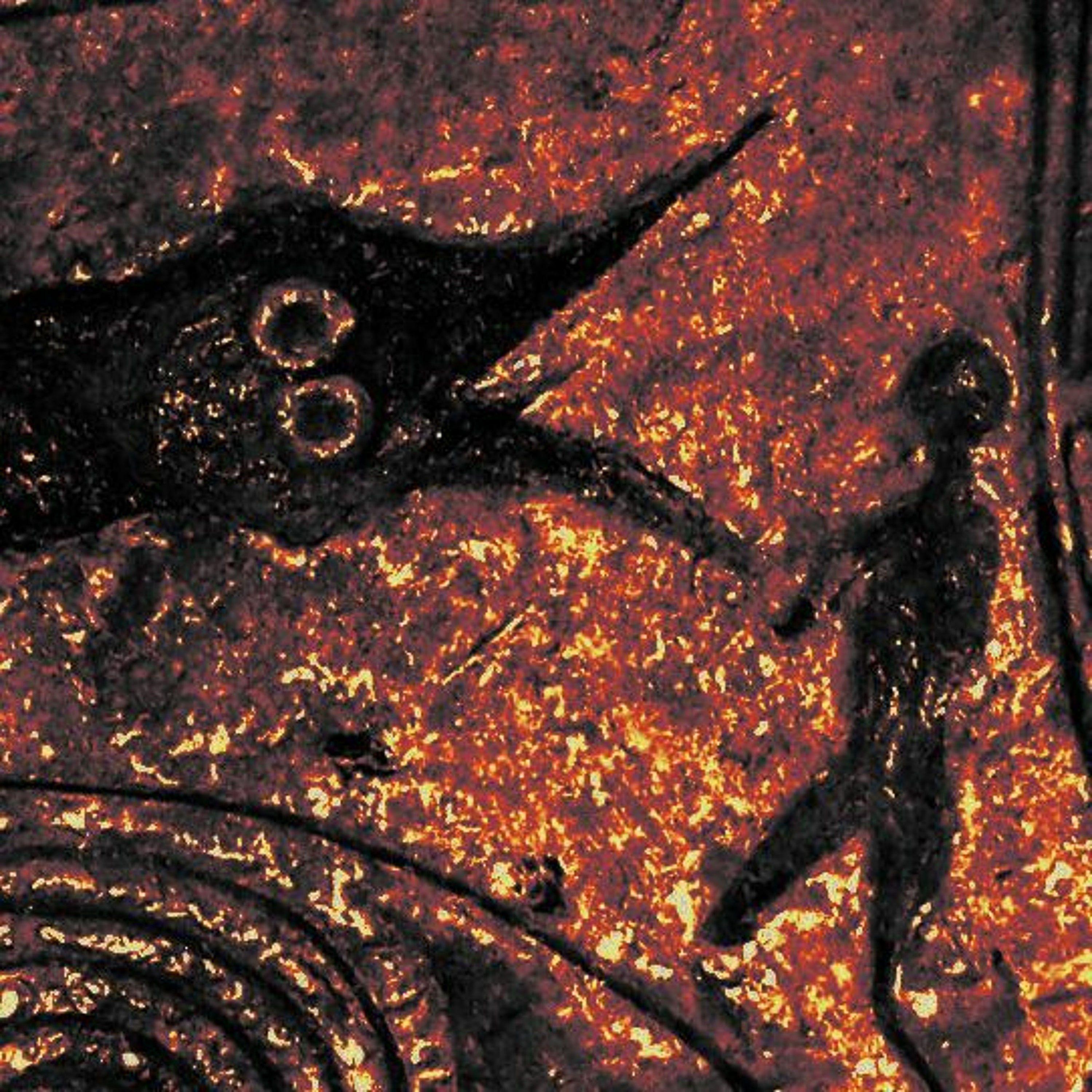Brute Norse Podcast