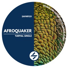 AfroQuakeR - Turpial (Original Mix)