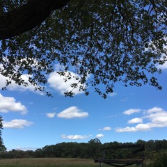 You Were Always the Same