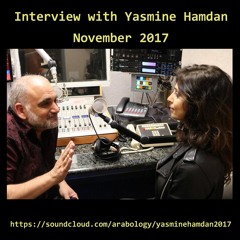 Interview with Yasmine Hamdan (November 2017)