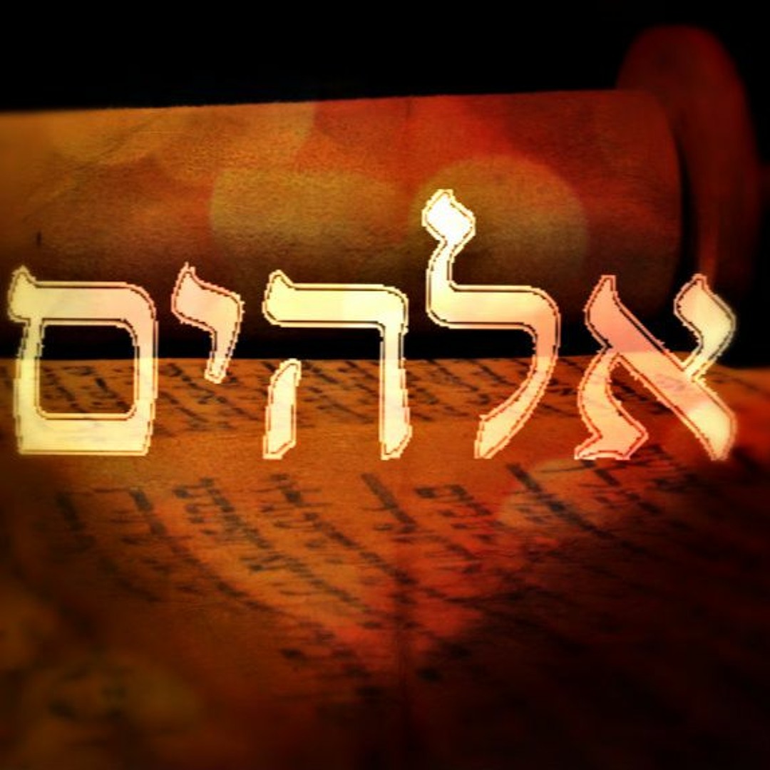 elohim net worth - Ilustrasi 2