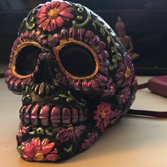 Where We Going Today.