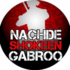 Nachde Shokeen Gabroo - Bhangra In The Burgh 2017 (First Place) ft. PablaMix