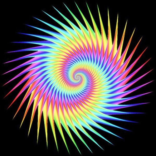 Elastic Noise Onkel N.